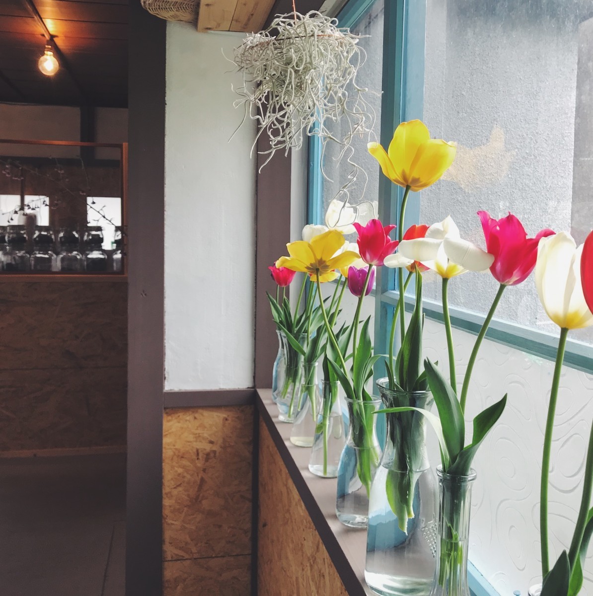 f:id:asacafe:20190515124132j:plain f:id:asacafe:20190515124132j:plain