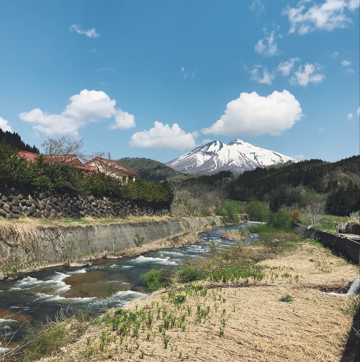 f:id:asacafe:20190518100644j:plain f:id:asacafe:20190518100644j:plain