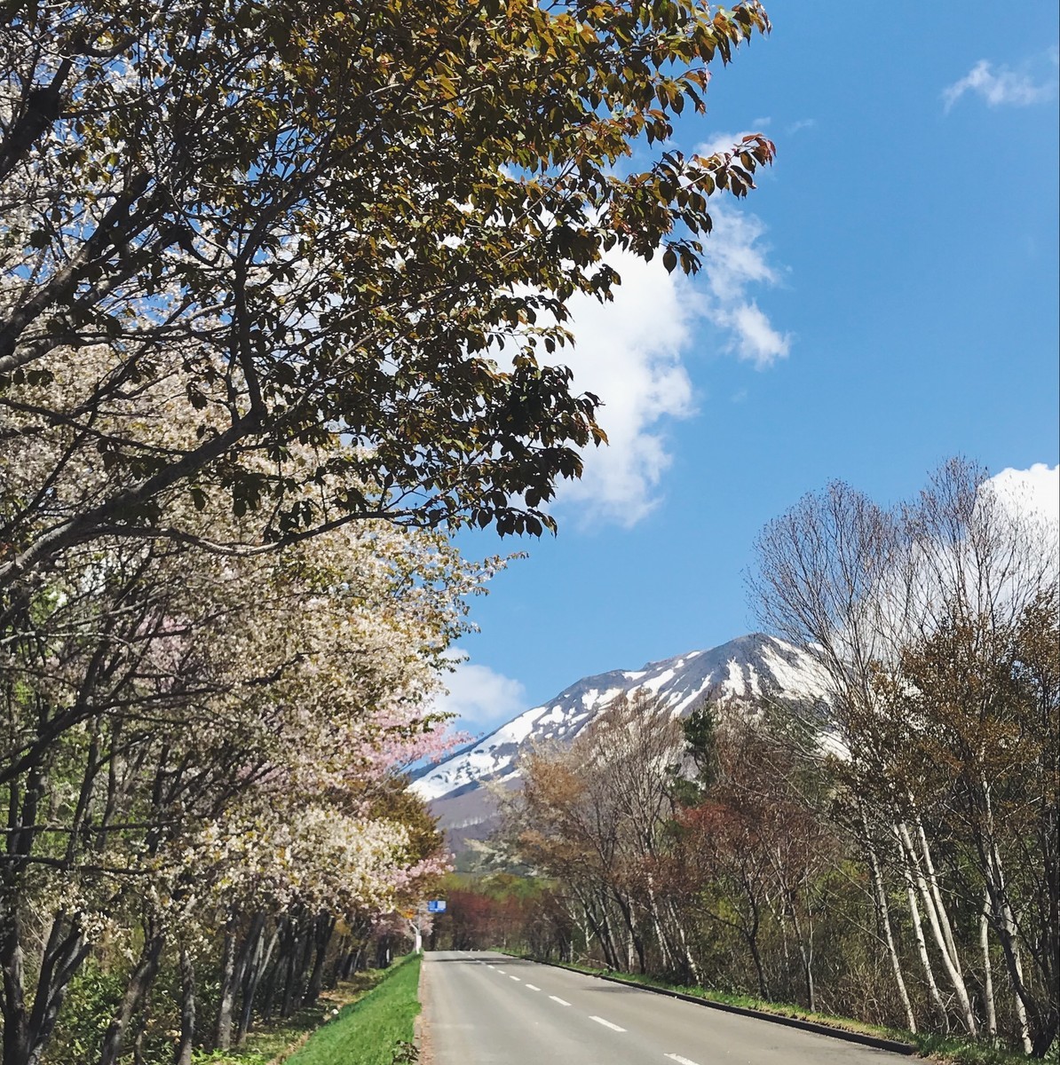 f:id:asacafe:20190518100807j:plain f:id:asacafe:20190518100807j:plain