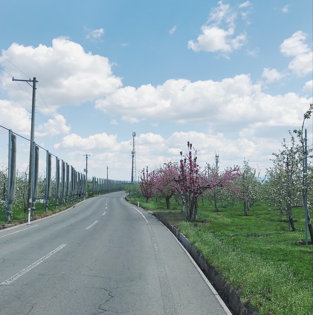 f:id:asacafe:20190518103046j:plain f:id:asacafe:20190518103046j:plain
