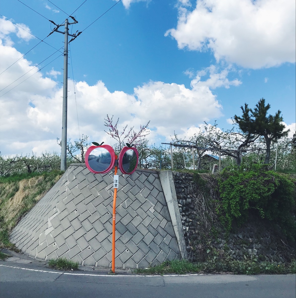 f:id:asacafe:20190518103148j:plain f:id:asacafe:20190518103148j:plain