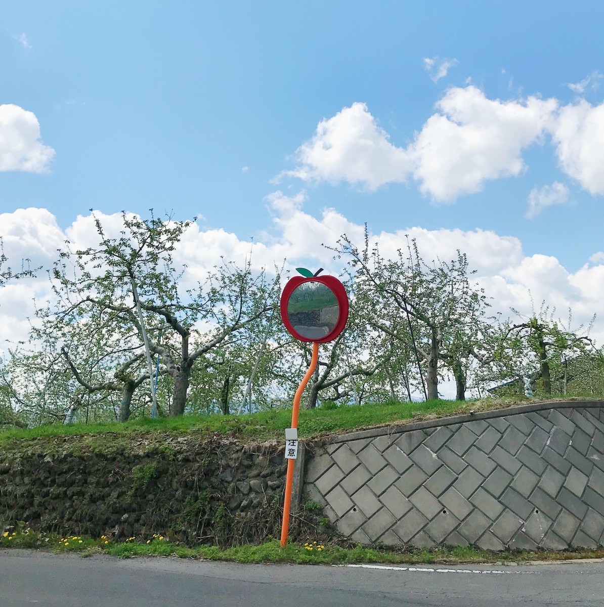 f:id:asacafe:20190518103214j:plain f:id:asacafe:20190518103214j:plain