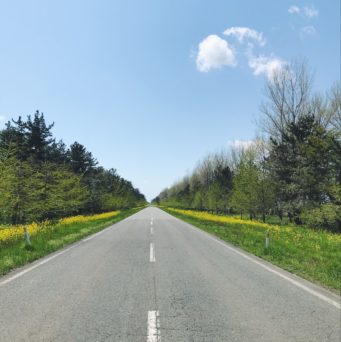 f:id:asacafe:20190520072004j:plain f:id:asacafe:20190520072004j:plain