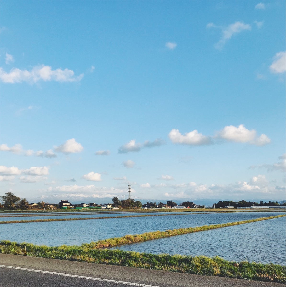 f:id:asacafe:20190520101529j:plain f:id:asacafe:20190520101529j:plain