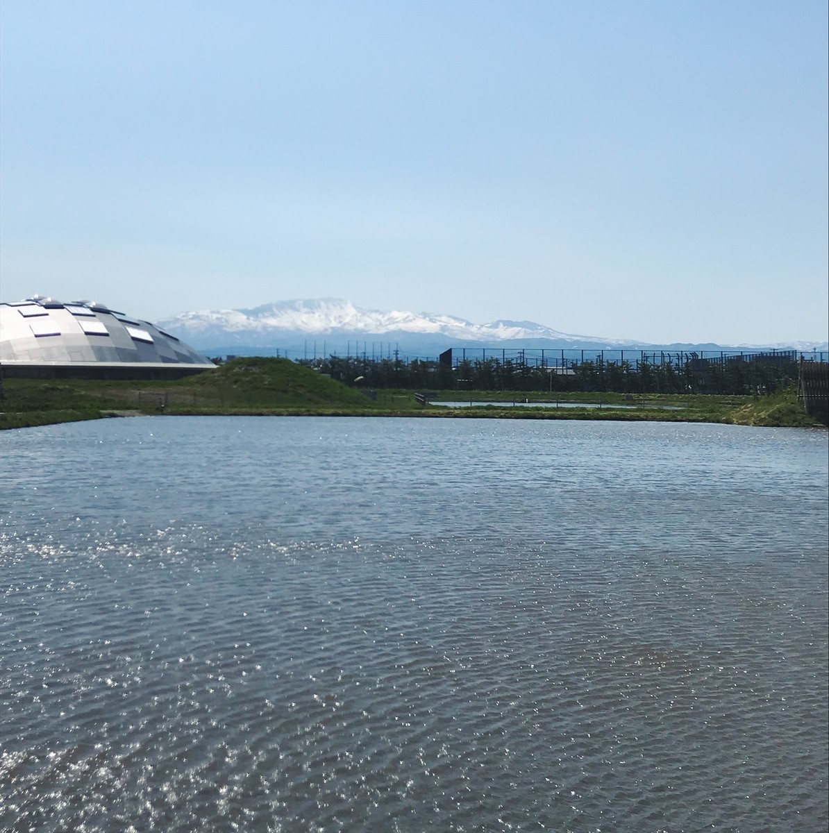 f:id:asacafe:20190522081626j:plain f:id:asacafe:20190522081626j:plain