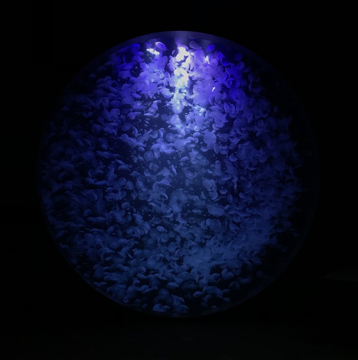 f:id:asacafe:20190525102752j:plain f:id:asacafe:20190525102752j:plain