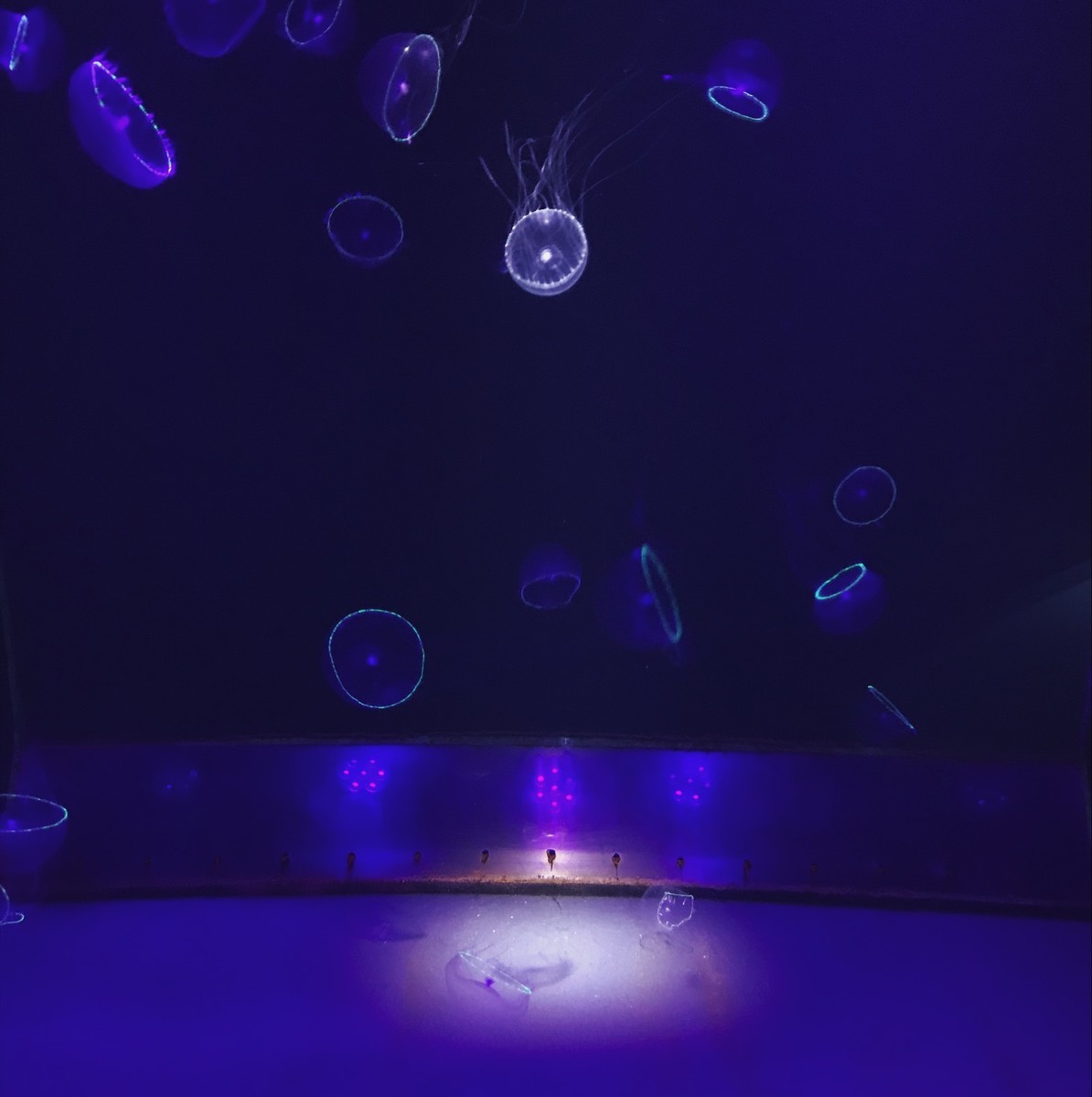 f:id:asacafe:20190525102921j:plain f:id:asacafe:20190525102921j:plain
