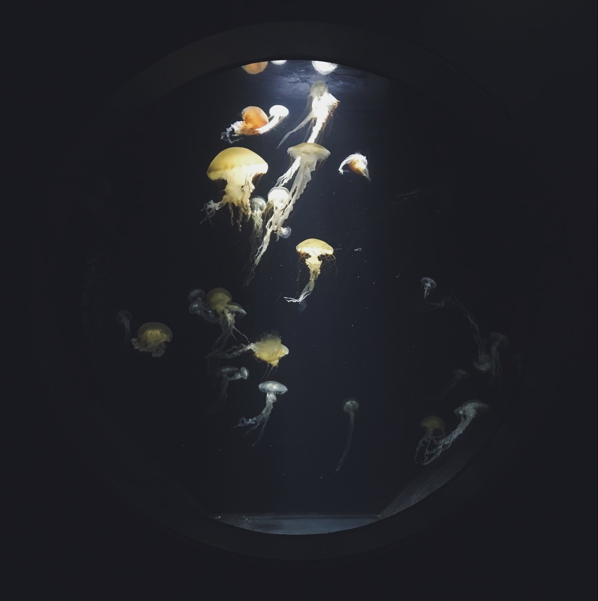 f:id:asacafe:20190525102955j:plain f:id:asacafe:20190525102955j:plain