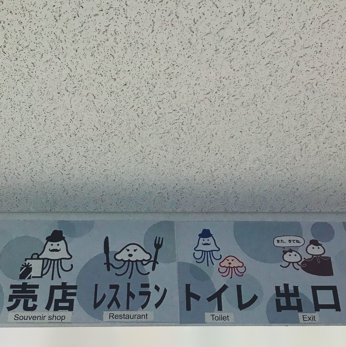 f:id:asacafe:20190525103514j:plain f:id:asacafe:20190525103514j:plain