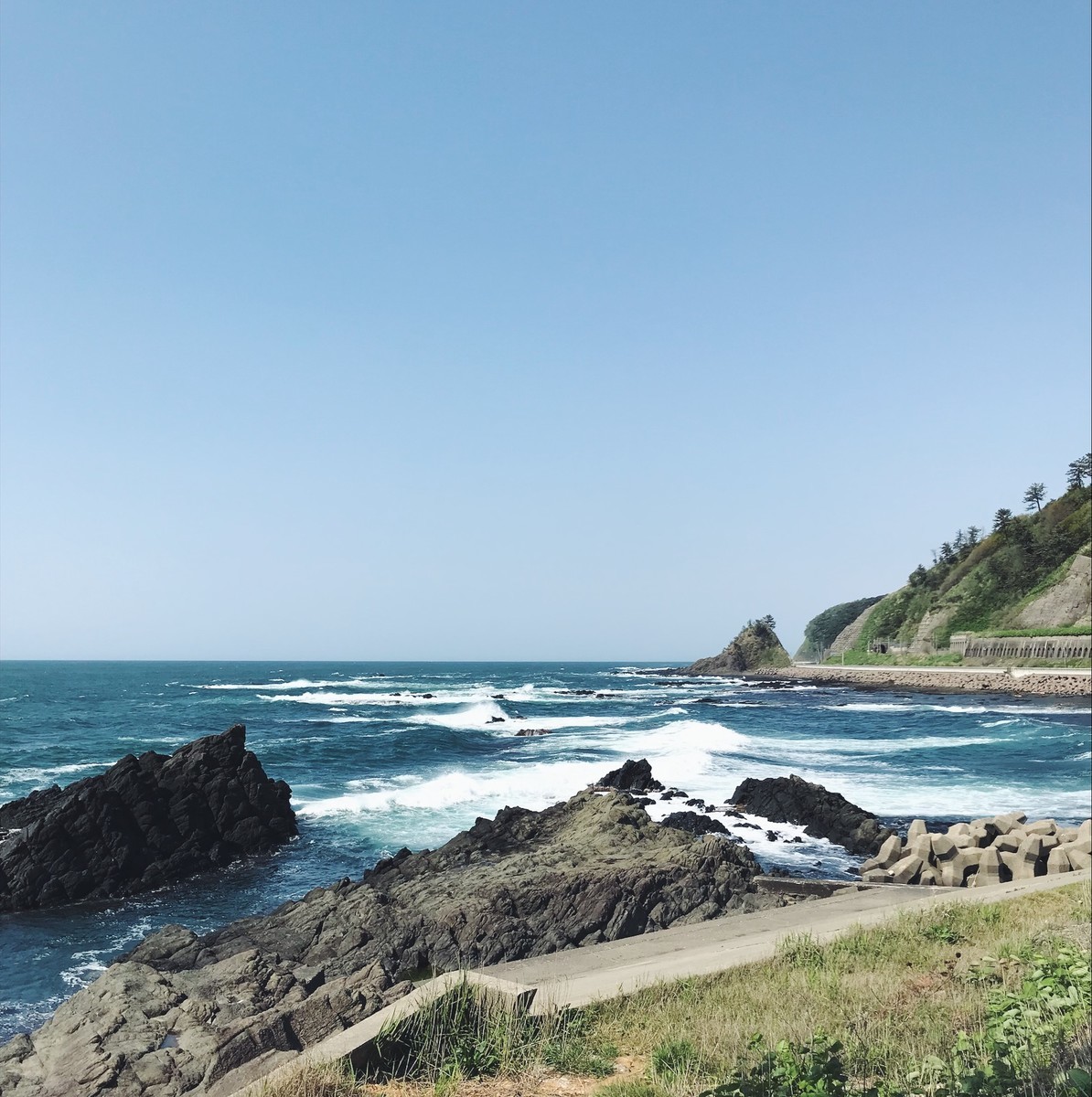 f:id:asacafe:20190526083419j:plain f:id:asacafe:20190526083419j:plain