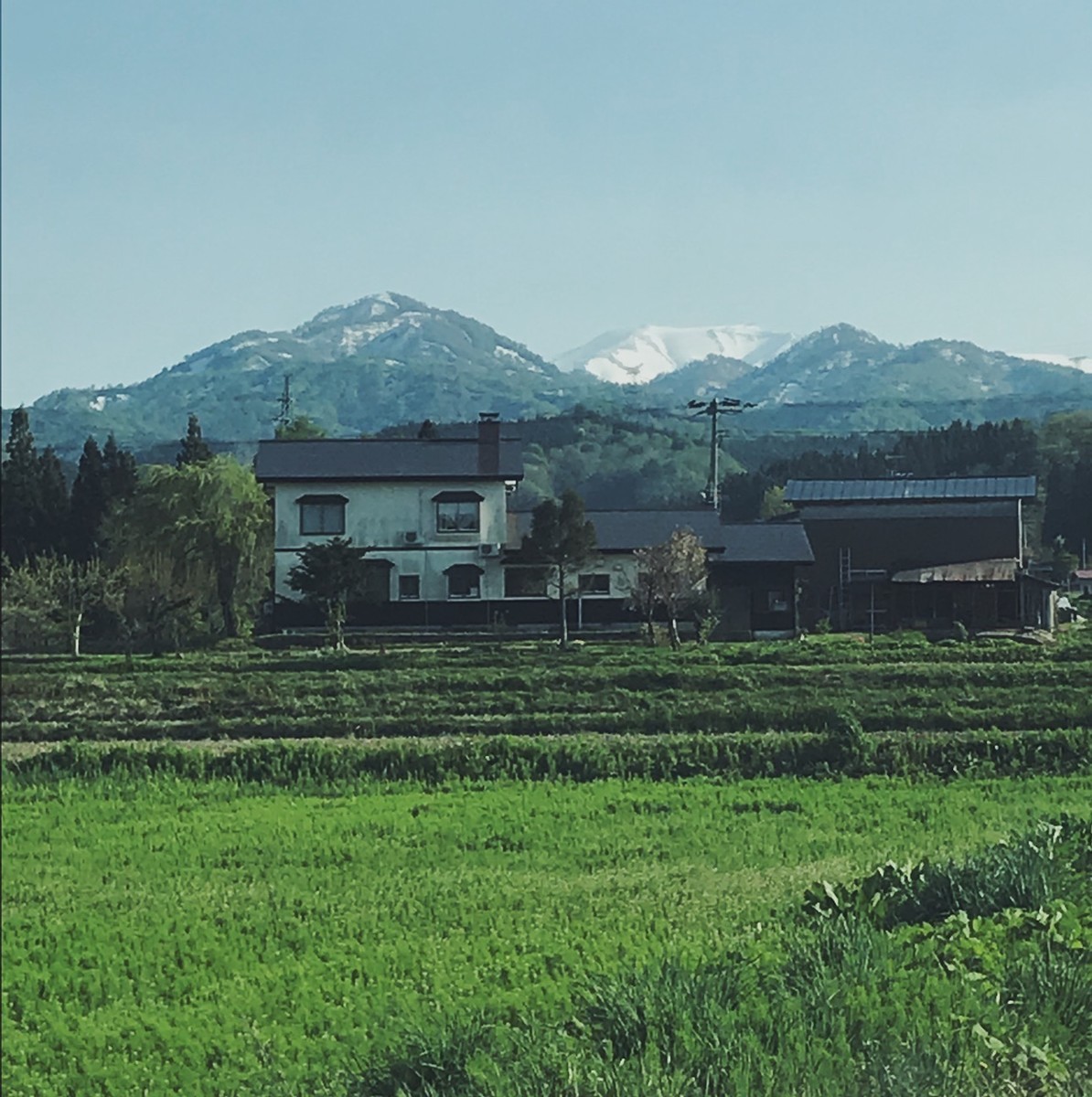 f:id:asacafe:20190527094549j:plain f:id:asacafe:20190527094549j:plain