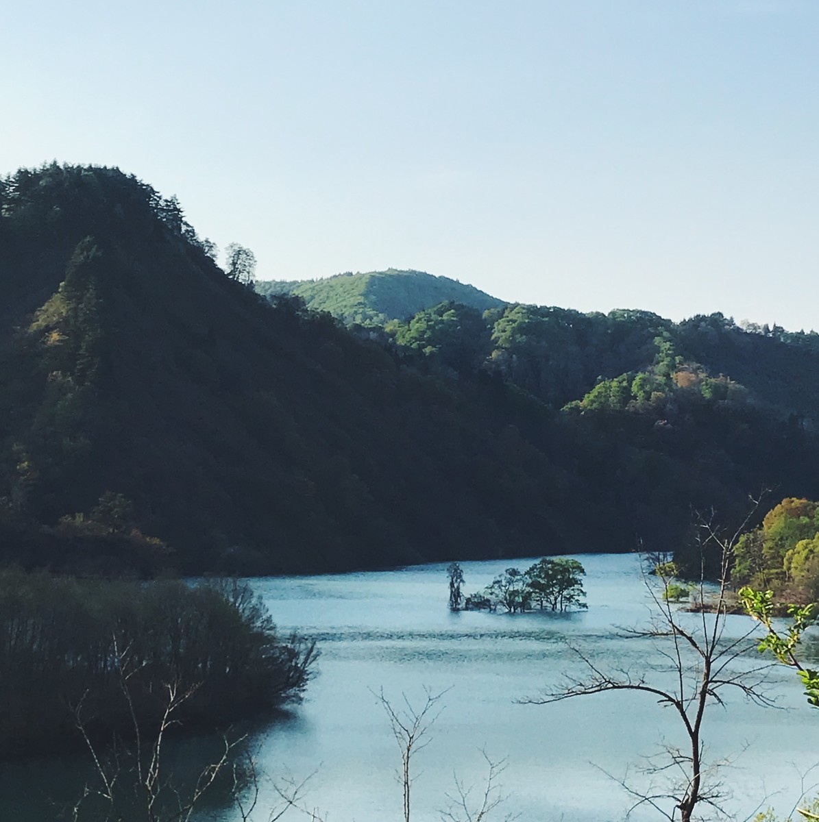 f:id:asacafe:20190527103544j:plain f:id:asacafe:20190527103544j:plain