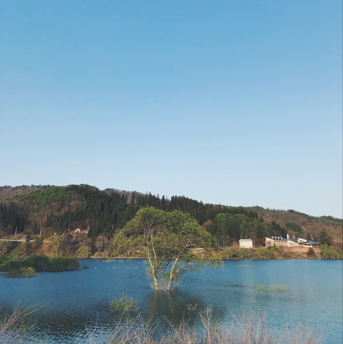 f:id:asacafe:20190527103640j:plain f:id:asacafe:20190527103640j:plain