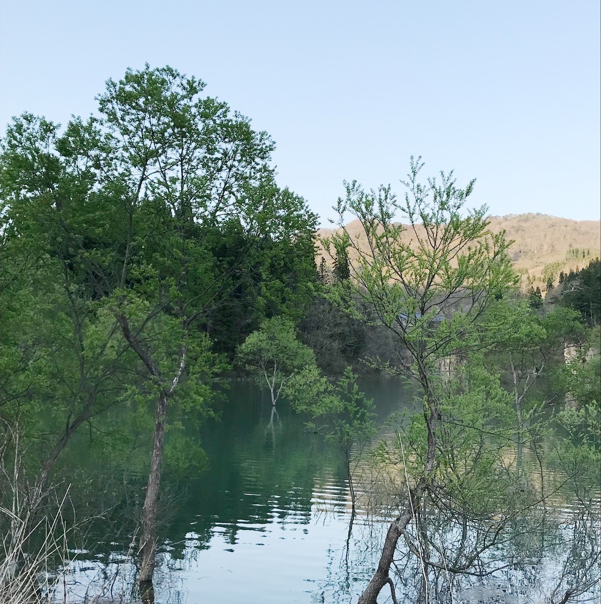 f:id:asacafe:20190527103717j:plain f:id:asacafe:20190527103717j:plain