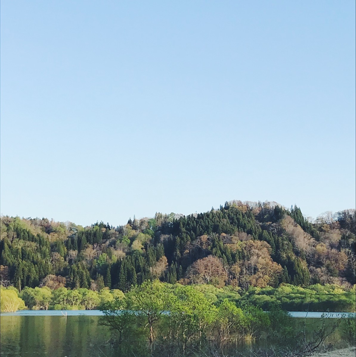 f:id:asacafe:20190527103821j:plain f:id:asacafe:20190527103821j:plain