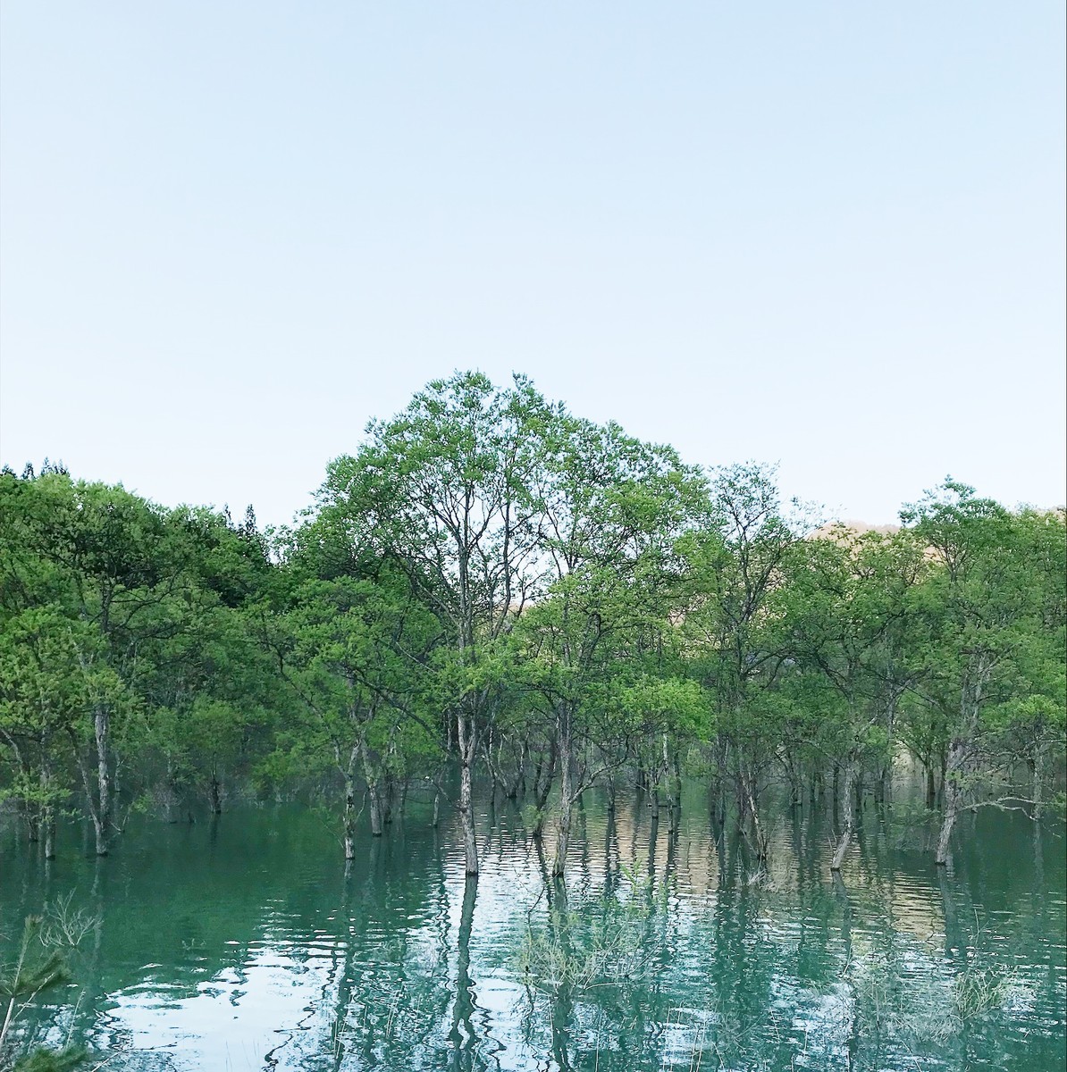 f:id:asacafe:20190527103944j:plain f:id:asacafe:20190527103944j:plain