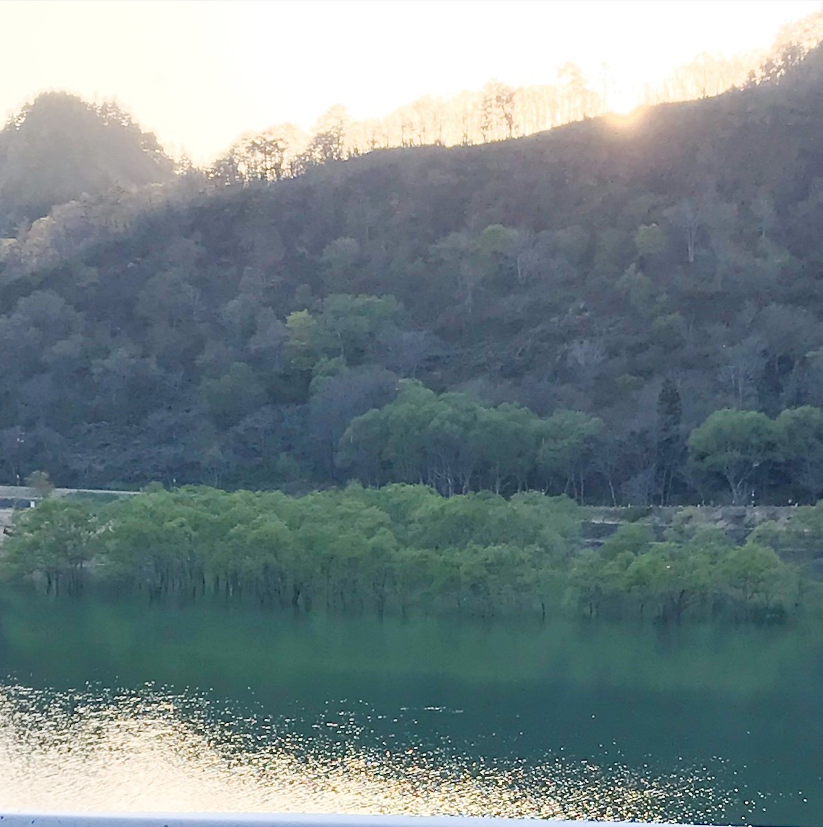 f:id:asacafe:20190527104015j:plain f:id:asacafe:20190527104015j:plain
