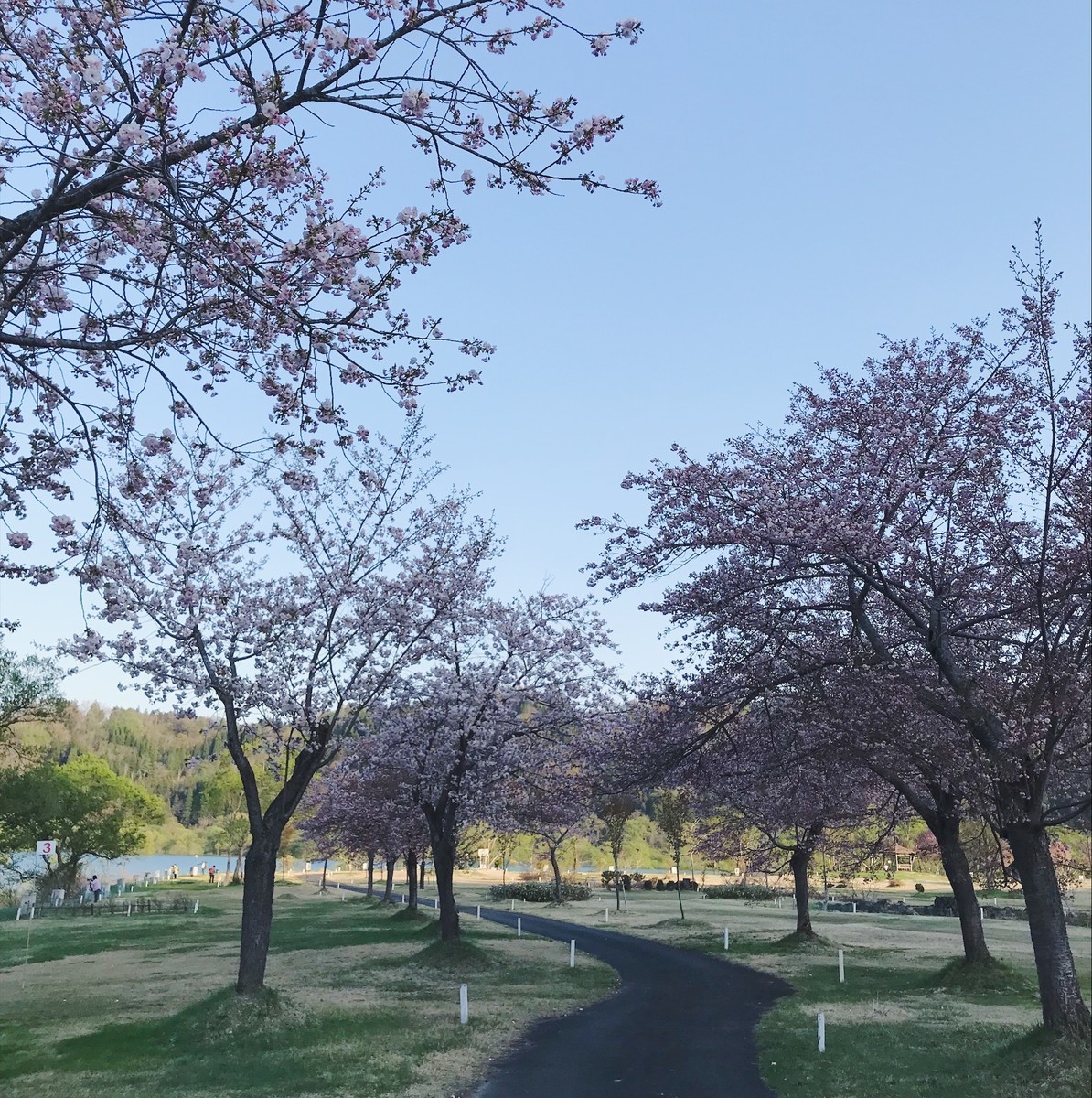 f:id:asacafe:20190527110937j:plain f:id:asacafe:20190527110937j:plain