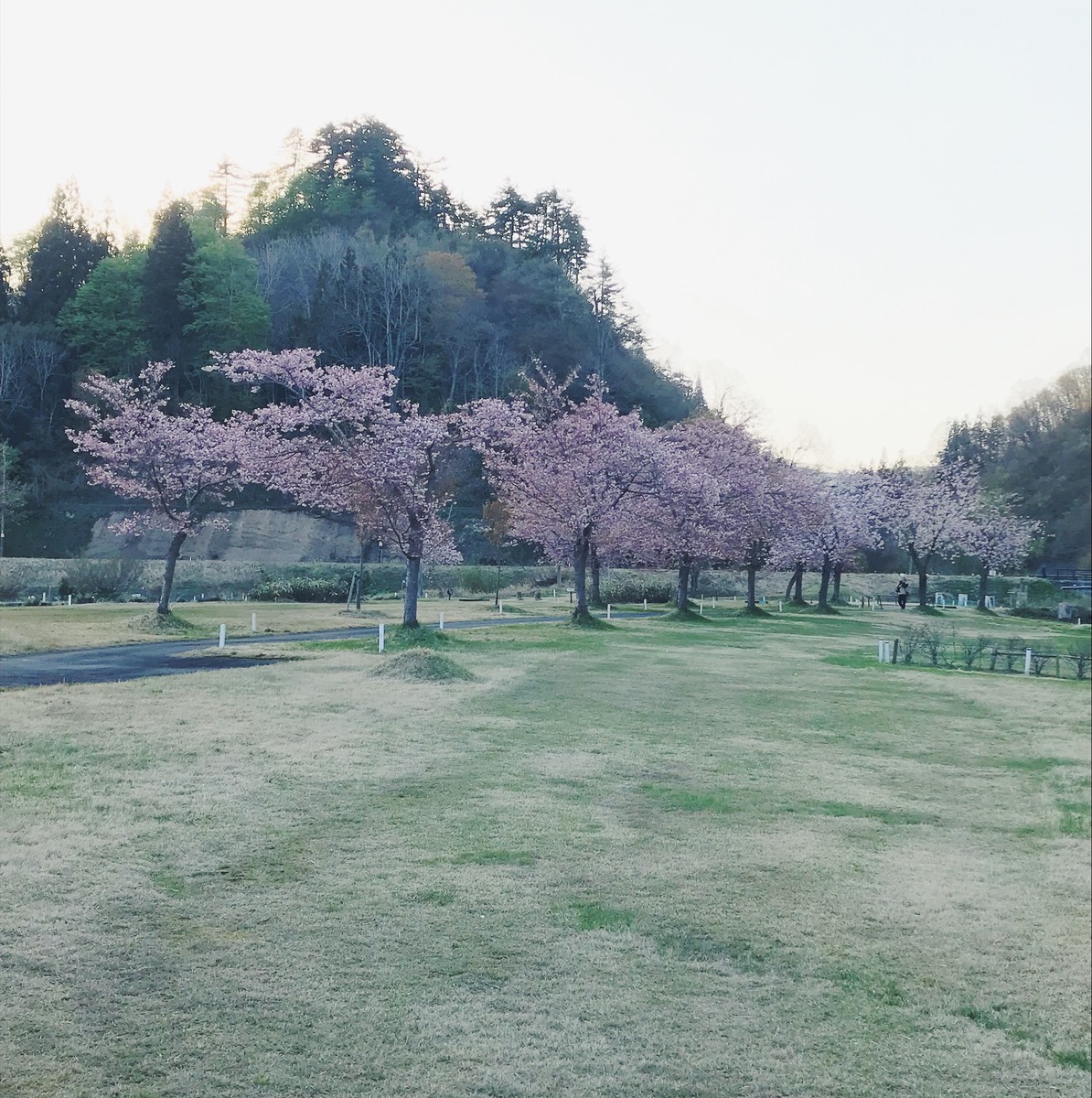f:id:asacafe:20190527111033j:plain f:id:asacafe:20190527111033j:plain