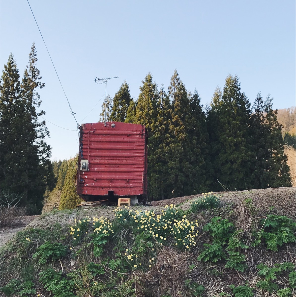 f:id:asacafe:20190527113419j:plain f:id:asacafe:20190527113419j:plain