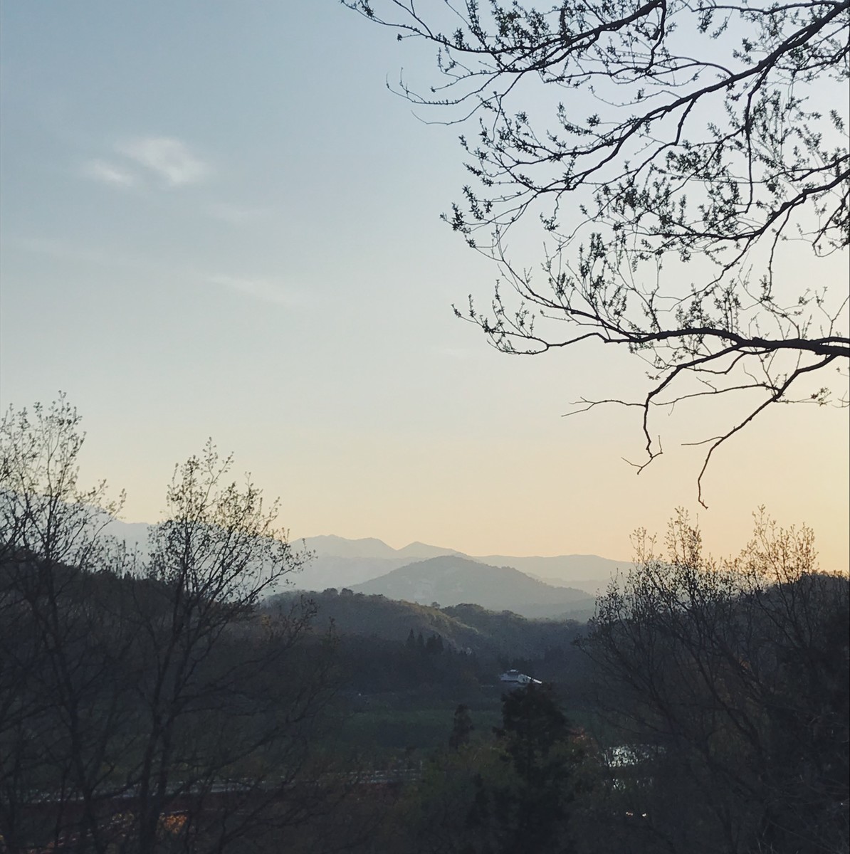 f:id:asacafe:20190527113444j:plain f:id:asacafe:20190527113444j:plain