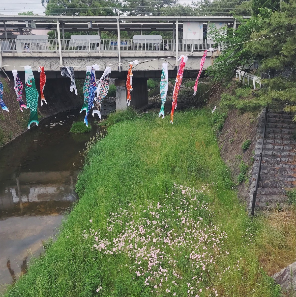 f:id:asacafe:20190527191603j:plain f:id:asacafe:20190527191603j:plain