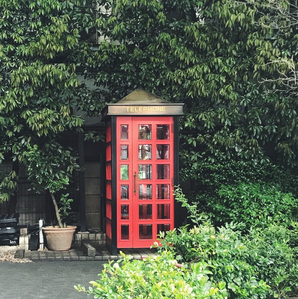 f:id:asacafe:20190528015135j:plain f:id:asacafe:20190528015135j:plain
