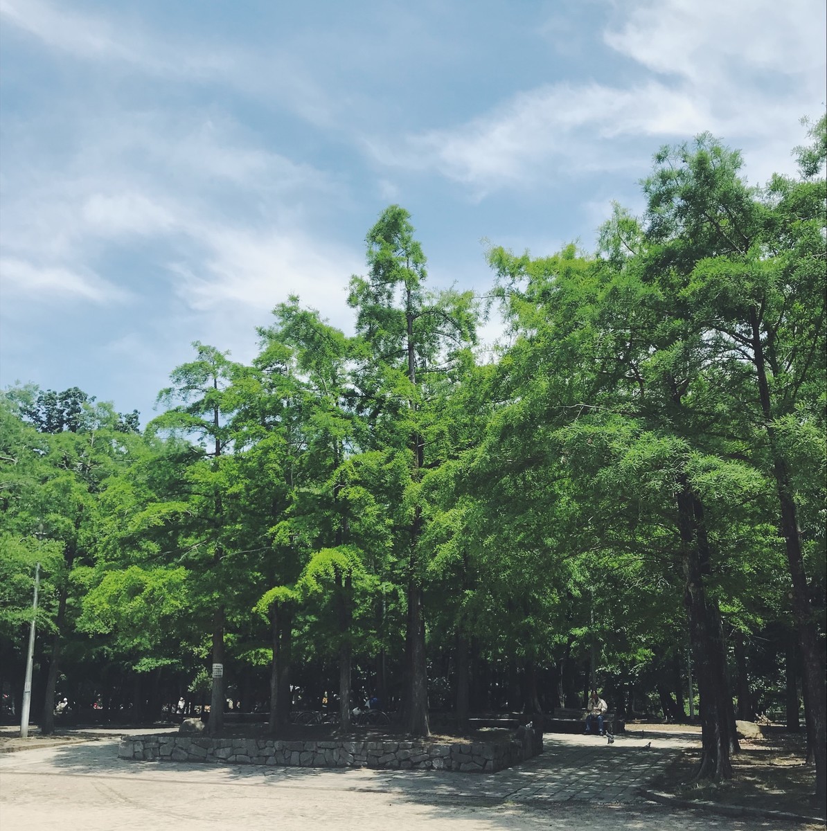 f:id:asacafe:20190529094323j:plain f:id:asacafe:20190529094323j:plain