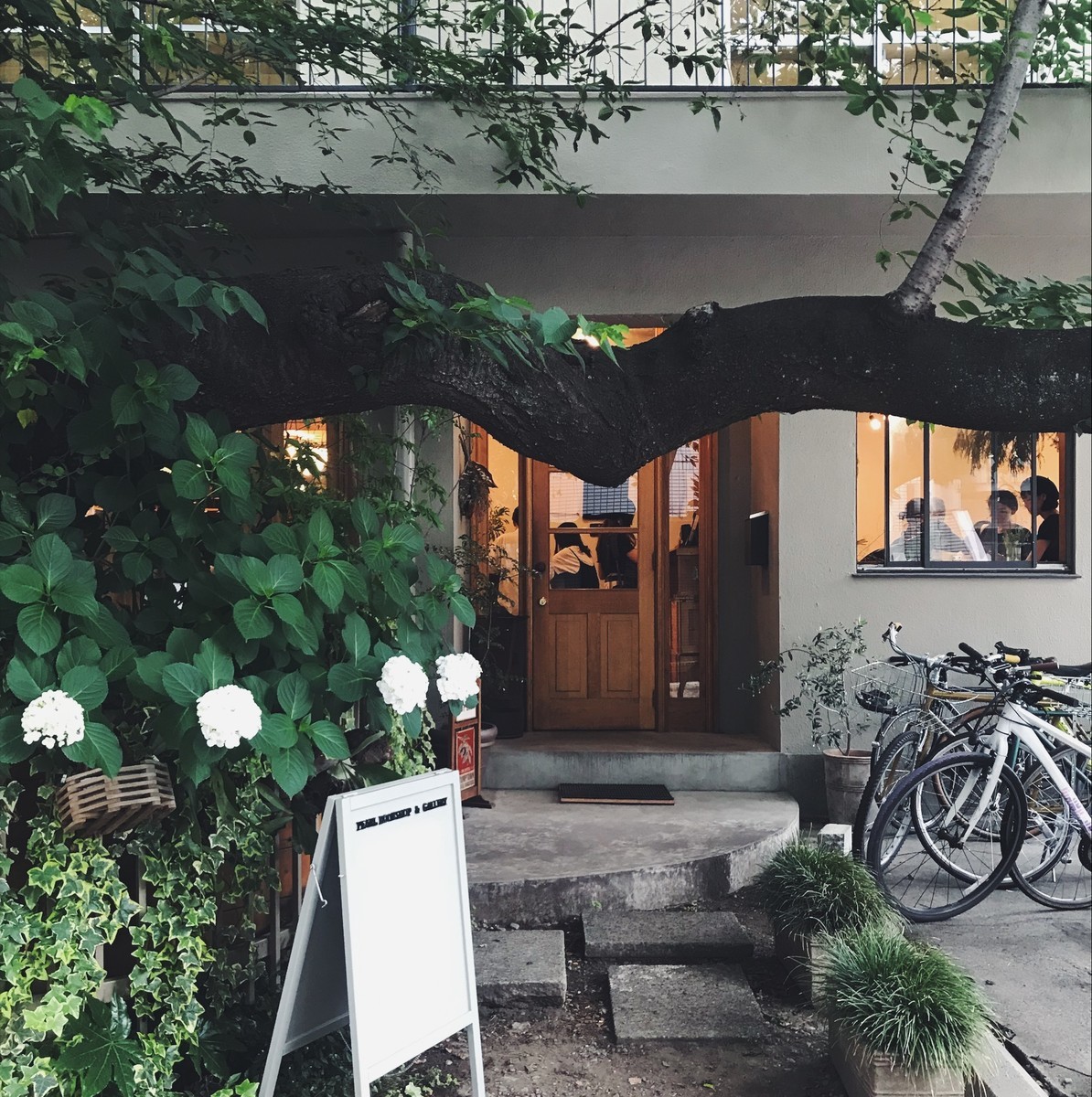 f:id:asacafe:20190608022826j:plain f:id:asacafe:20190608022826j:plain