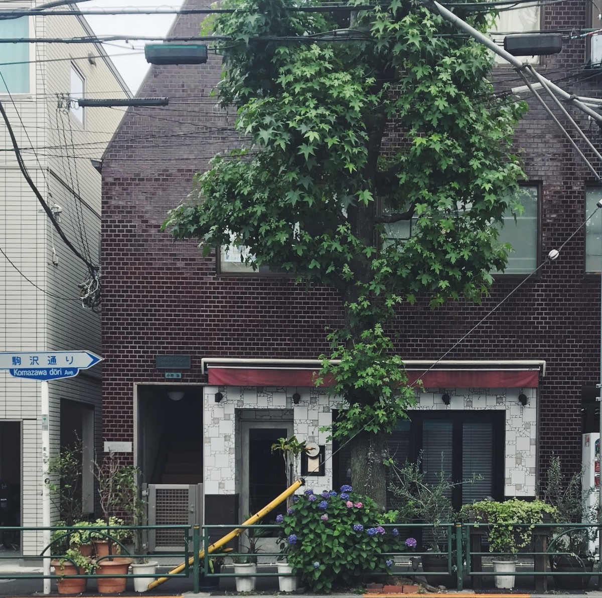 f:id:asacafe:20190611233345j:plain f:id:asacafe:20190611233345j:plain