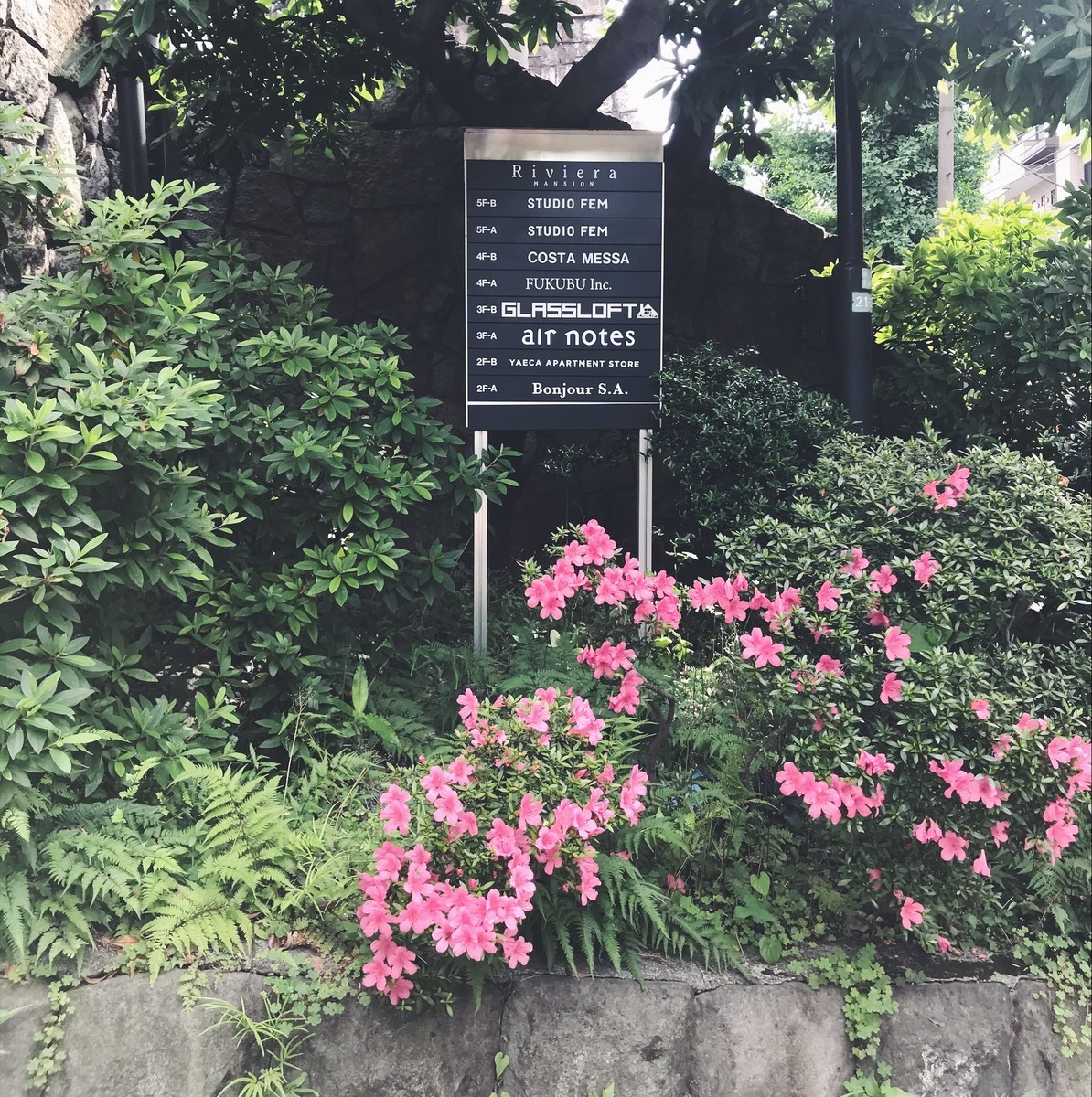 f:id:asacafe:20190612094932j:plain f:id:asacafe:20190612094932j:plain