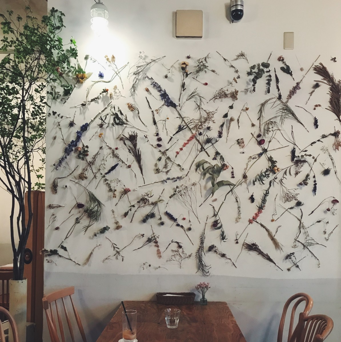 f:id:asacafe:20190612103731j:plain f:id:asacafe:20190612103731j:plain