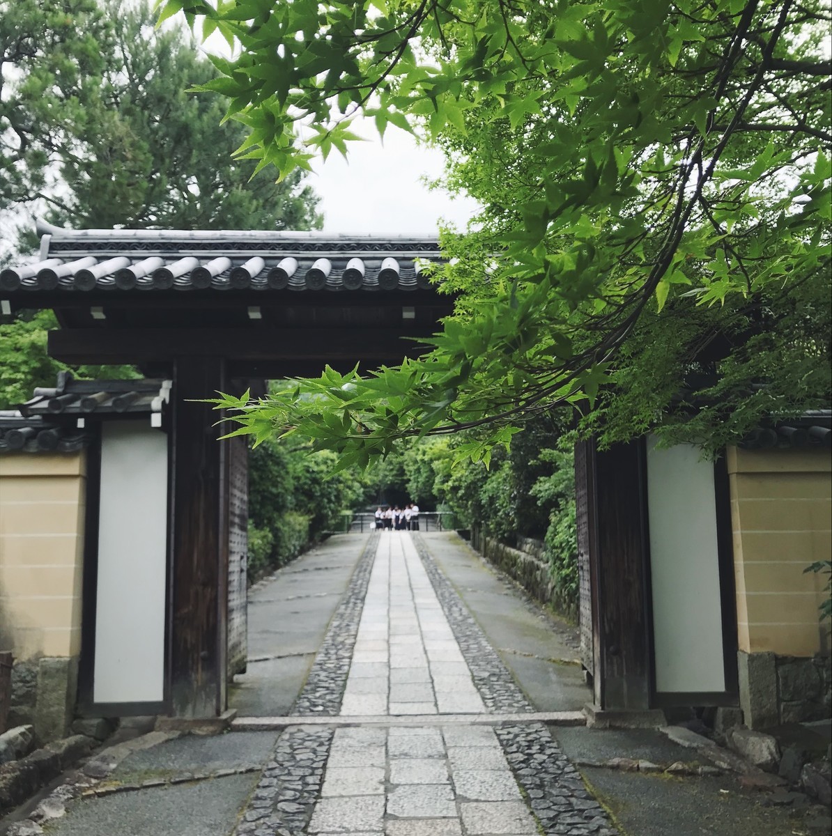 f:id:asacafe:20190613112319j:plain f:id:asacafe:20190613112319j:plain