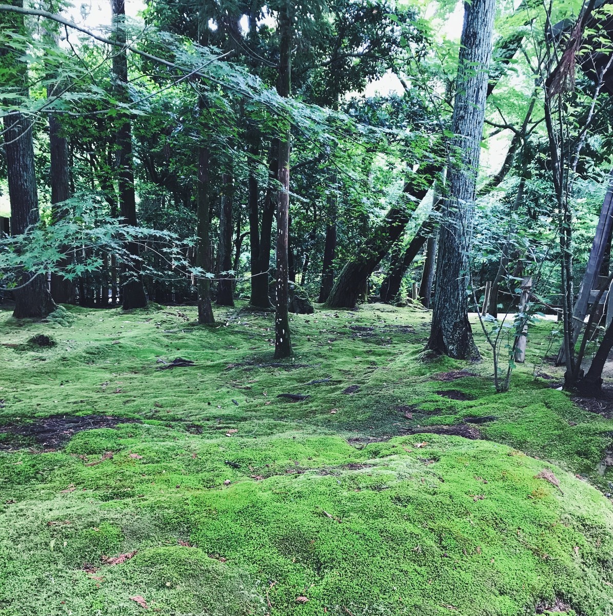 f:id:asacafe:20190614030135j:plain f:id:asacafe:20190614030135j:plain