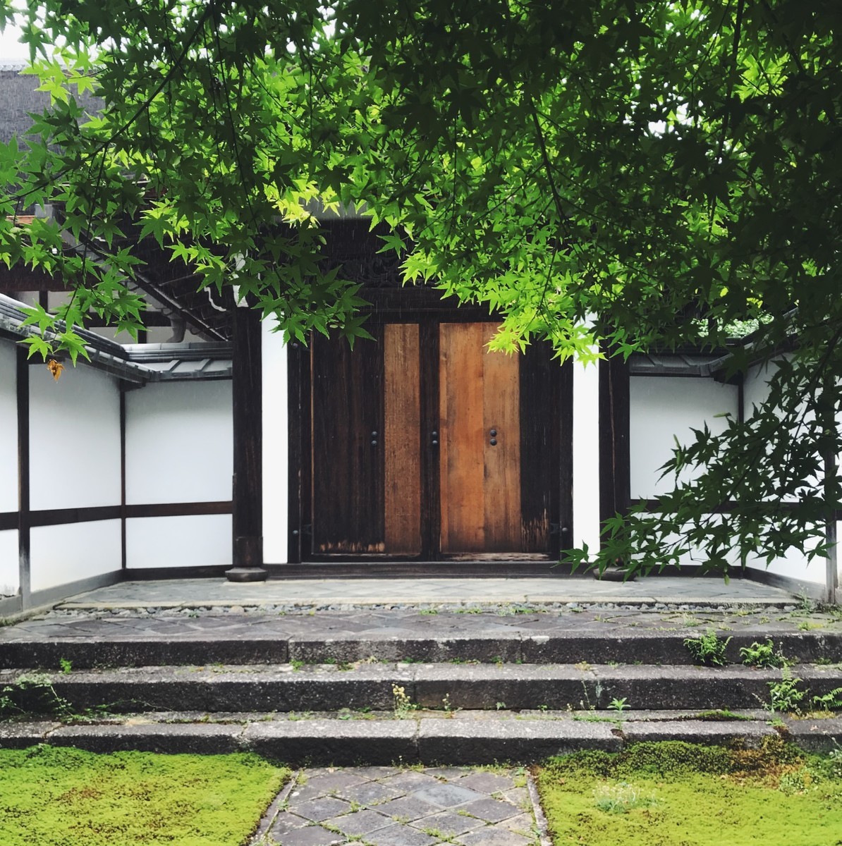 f:id:asacafe:20190614030417j:plain f:id:asacafe:20190614030417j:plain