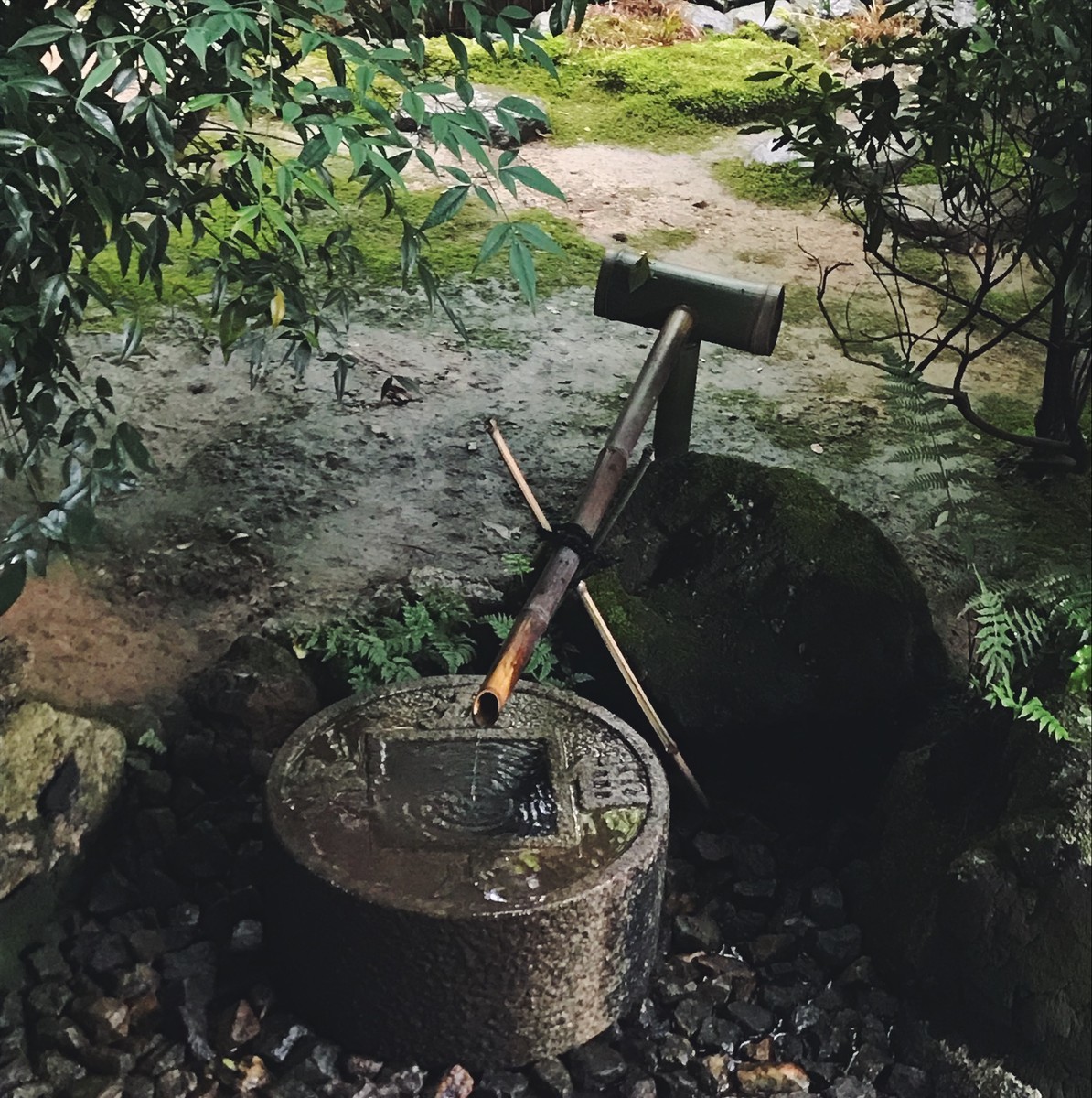 f:id:asacafe:20190614030514j:plain f:id:asacafe:20190614030514j:plain
