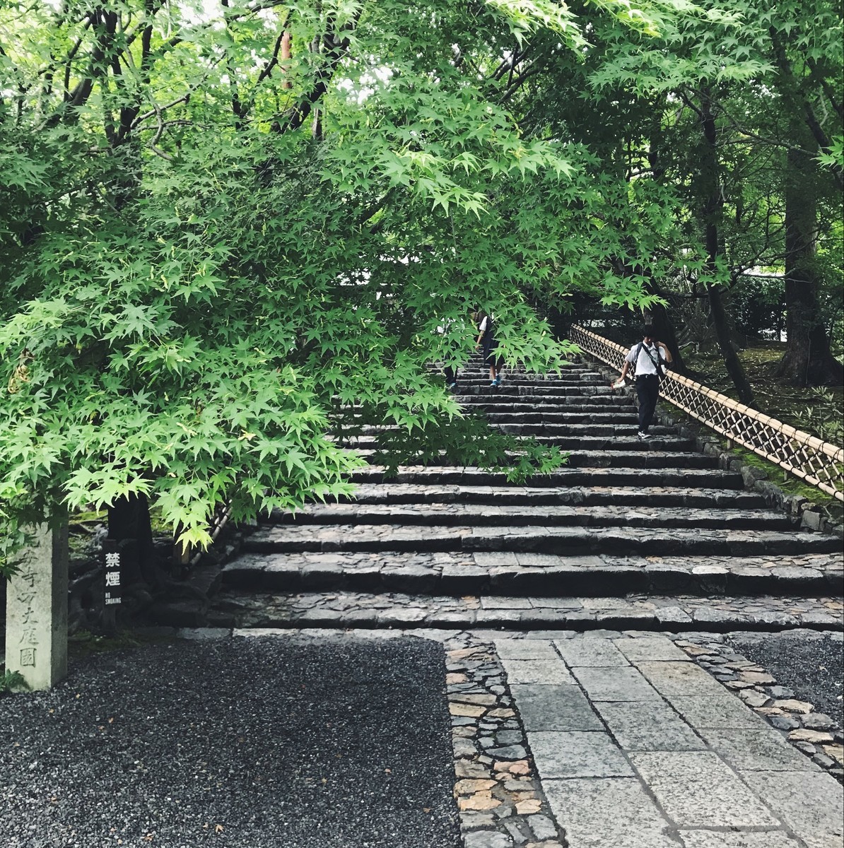 f:id:asacafe:20190614030718j:plain f:id:asacafe:20190614030718j:plain