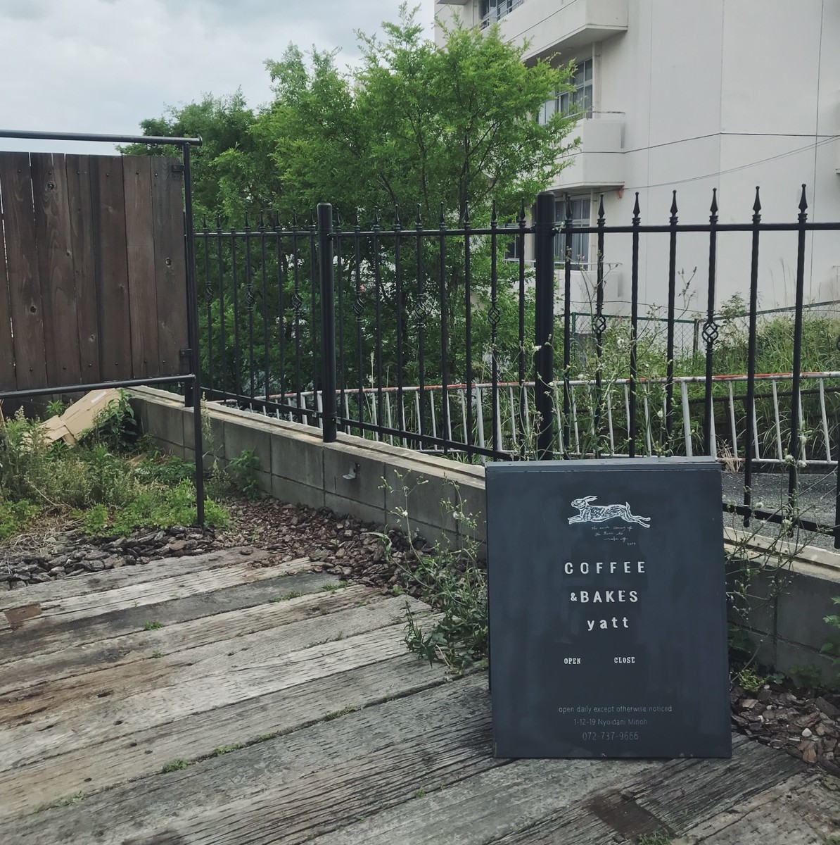 f:id:asacafe:20190615083142j:plain f:id:asacafe:20190615083142j:plain
