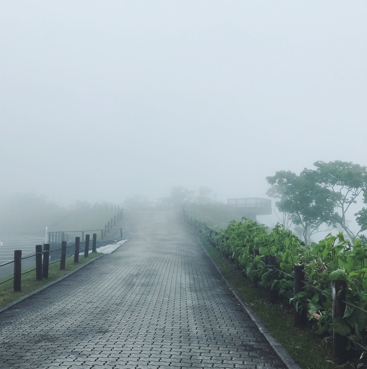 f:id:asacafe:20190703141754j:plain f:id:asacafe:20190703141754j:plain