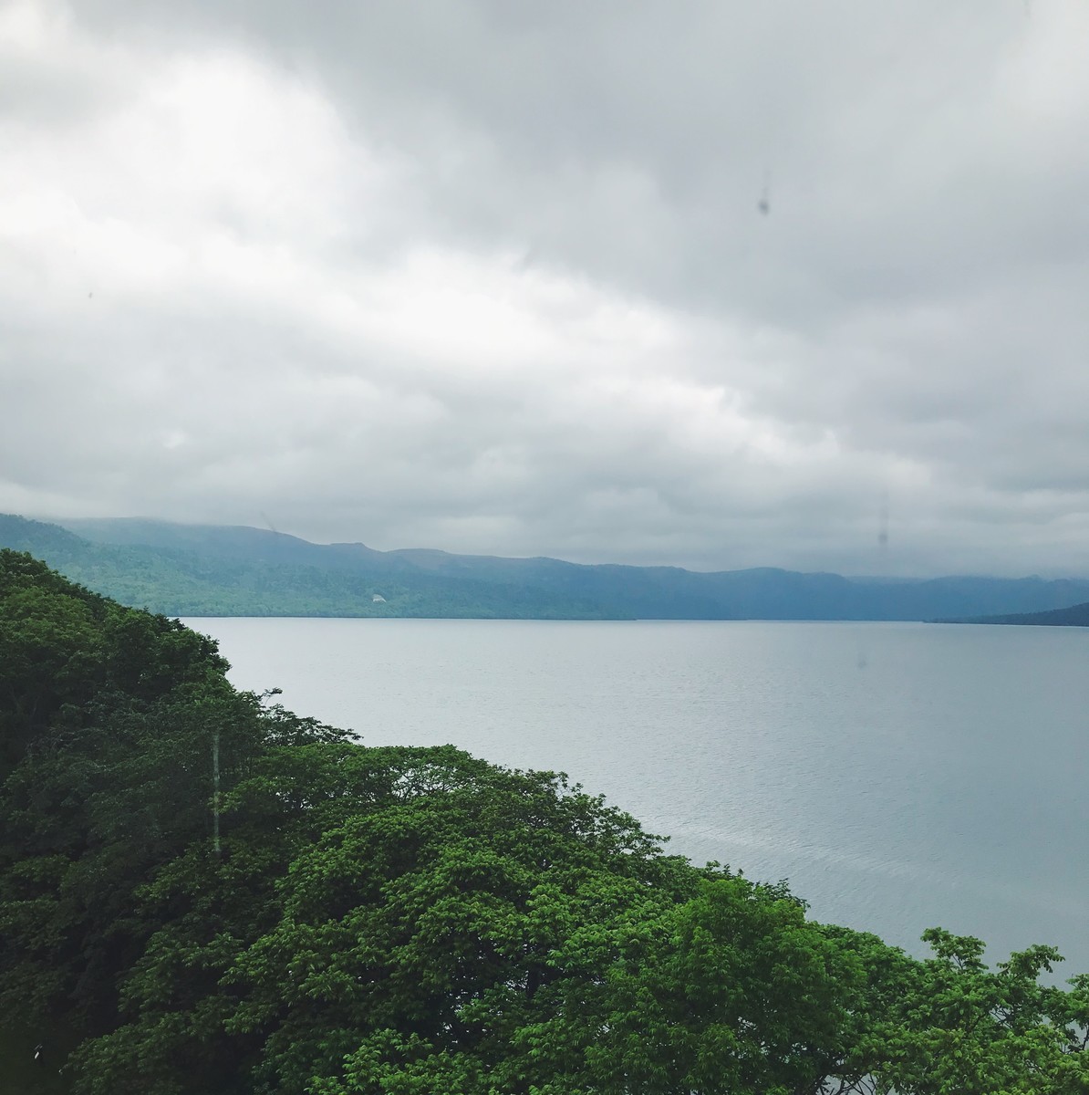 f:id:asacafe:20190703174203j:plain f:id:asacafe:20190703174203j:plain