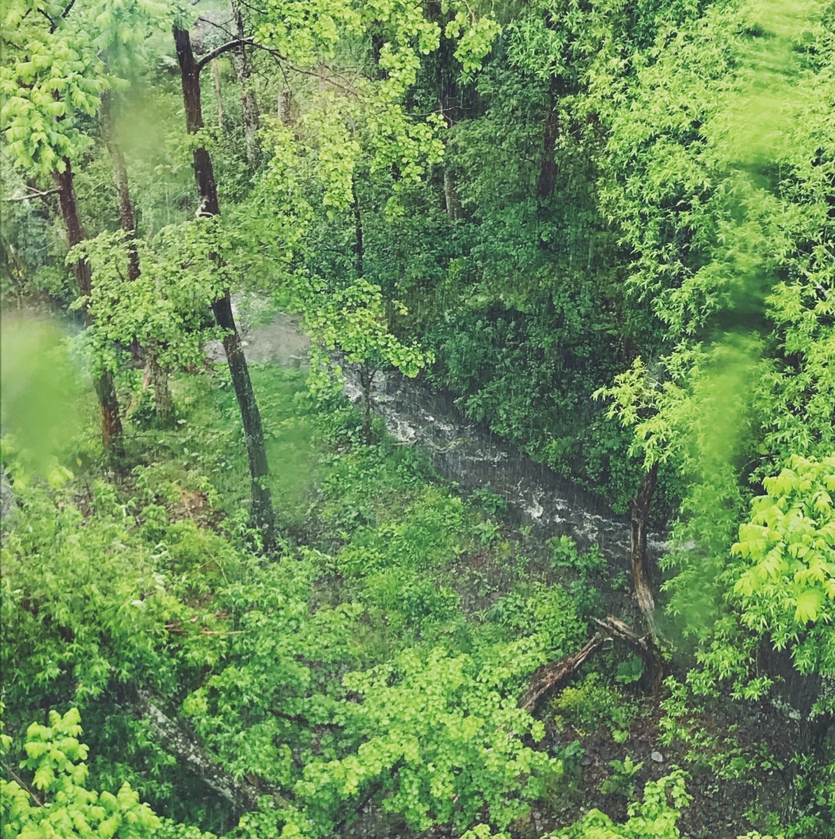 f:id:asacafe:20190703174451j:plain f:id:asacafe:20190703174451j:plain