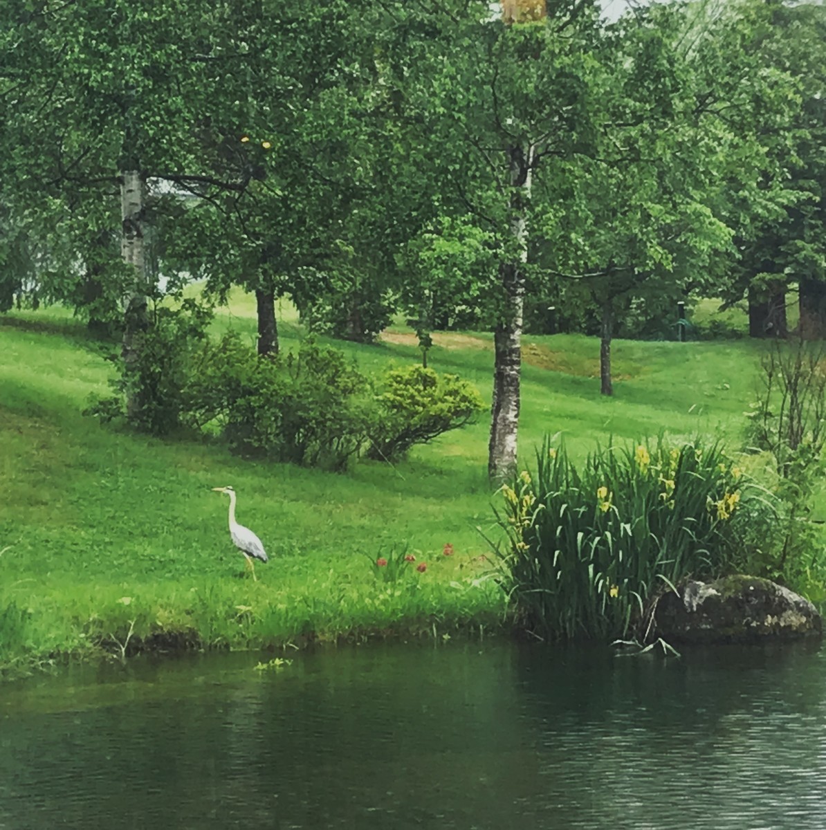 f:id:asacafe:20190704012311j:plain f:id:asacafe:20190704012311j:plain