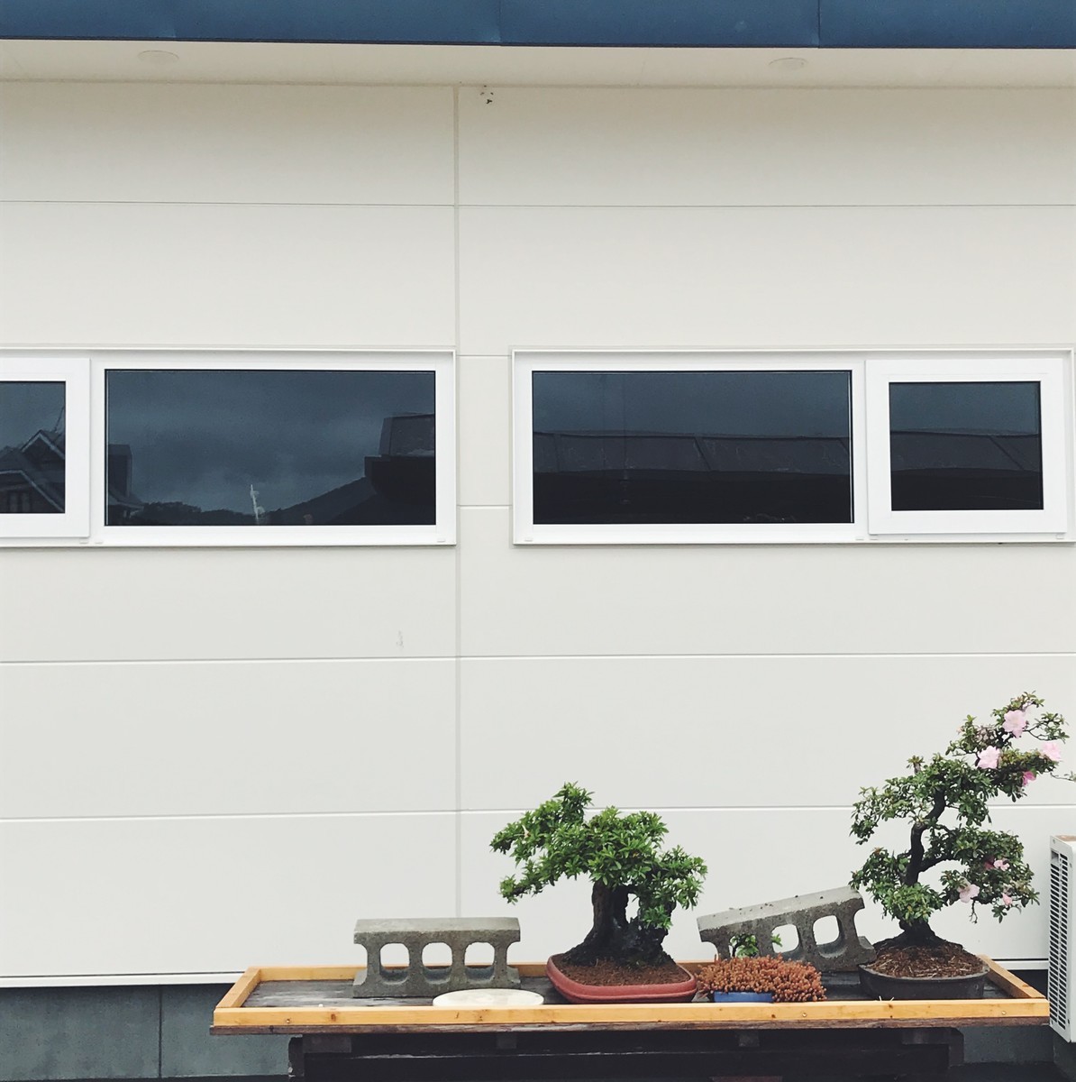 f:id:asacafe:20190704014356j:plain f:id:asacafe:20190704014356j:plain