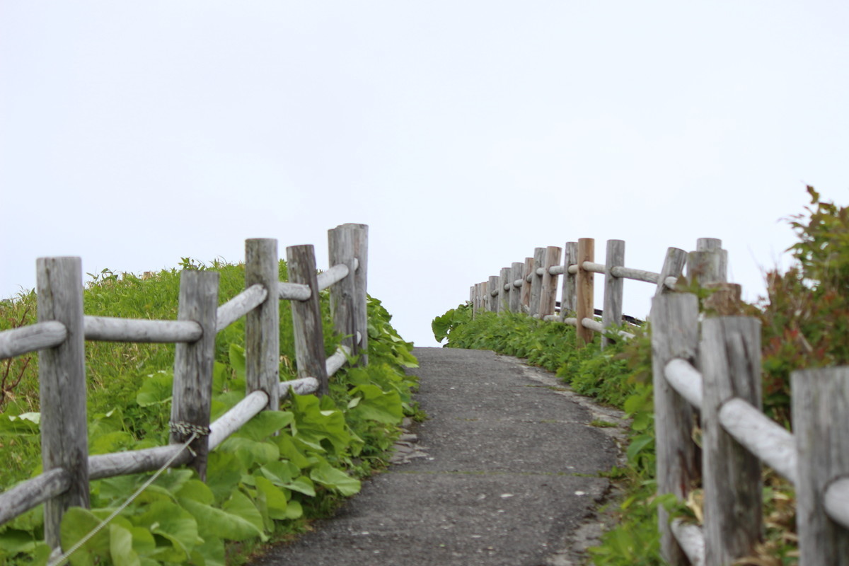 f:id:asacafe:20190704193518j:plain f:id:asacafe:20190704193518j:plain