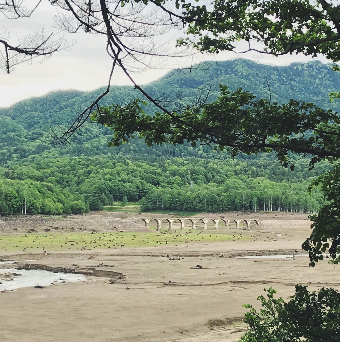 f:id:asacafe:20190705195247j:plain f:id:asacafe:20190705195247j:plain