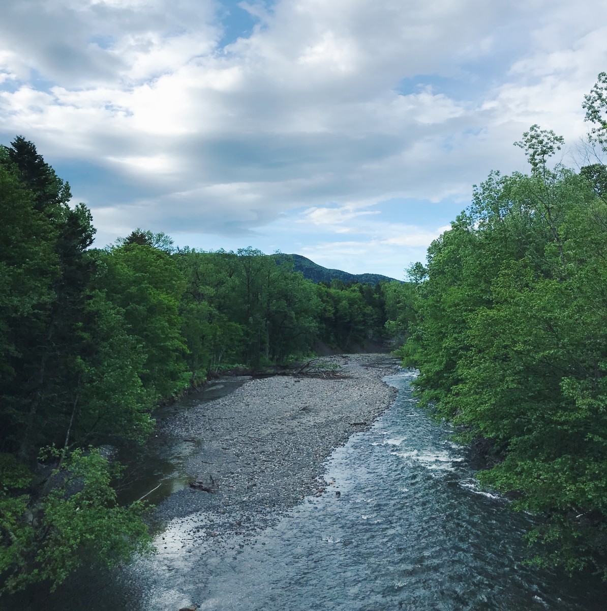 f:id:asacafe:20190706080727j:plain f:id:asacafe:20190706080727j:plain