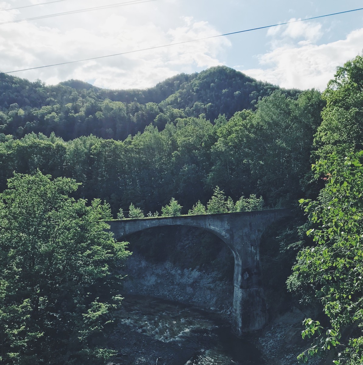 f:id:asacafe:20190706083125j:plain f:id:asacafe:20190706083125j:plain