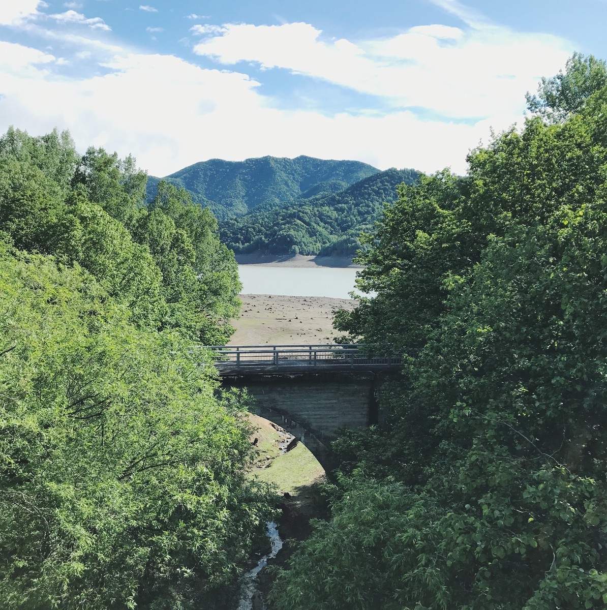 f:id:asacafe:20190706090238j:plain f:id:asacafe:20190706090238j:plain