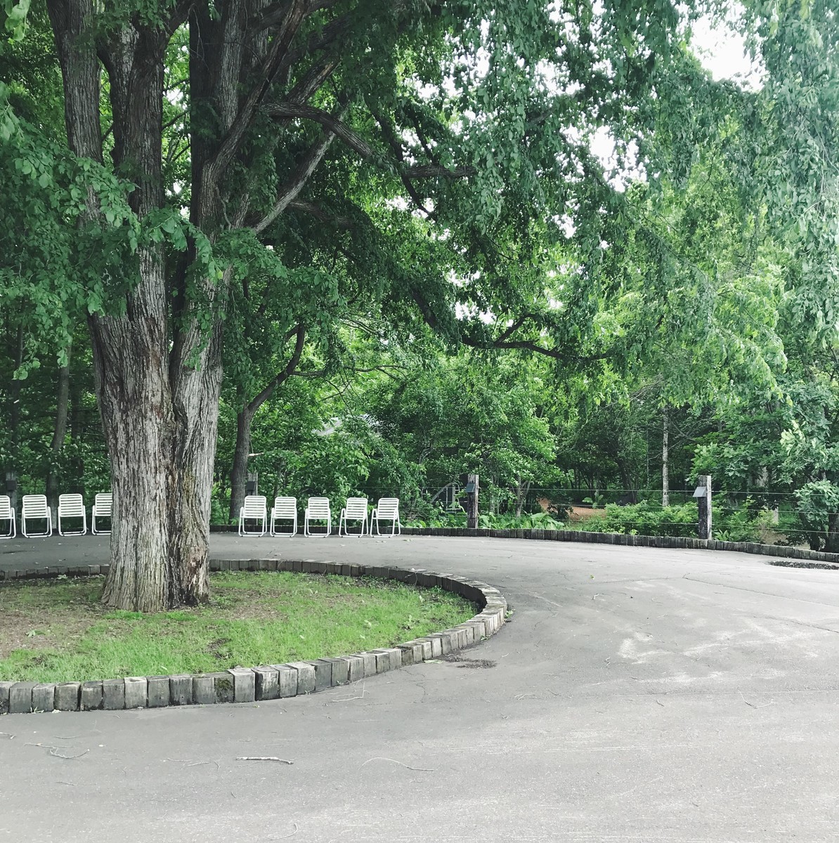 f:id:asacafe:20190706205615j:plain f:id:asacafe:20190706205615j:plain