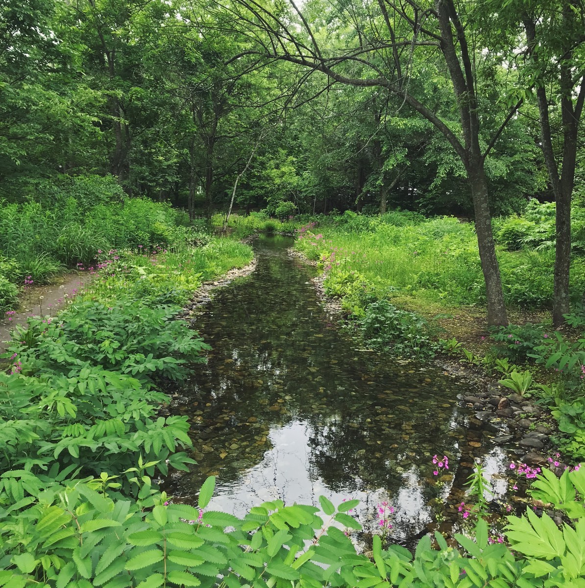 f:id:asacafe:20190707091031j:plain f:id:asacafe:20190707091031j:plain